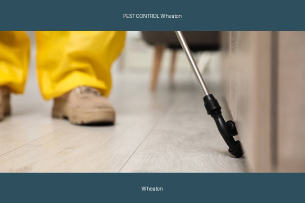 PEST CONTROL Wheaton